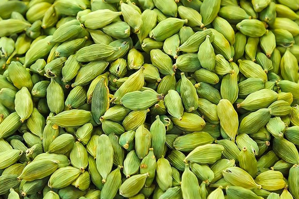 Premium